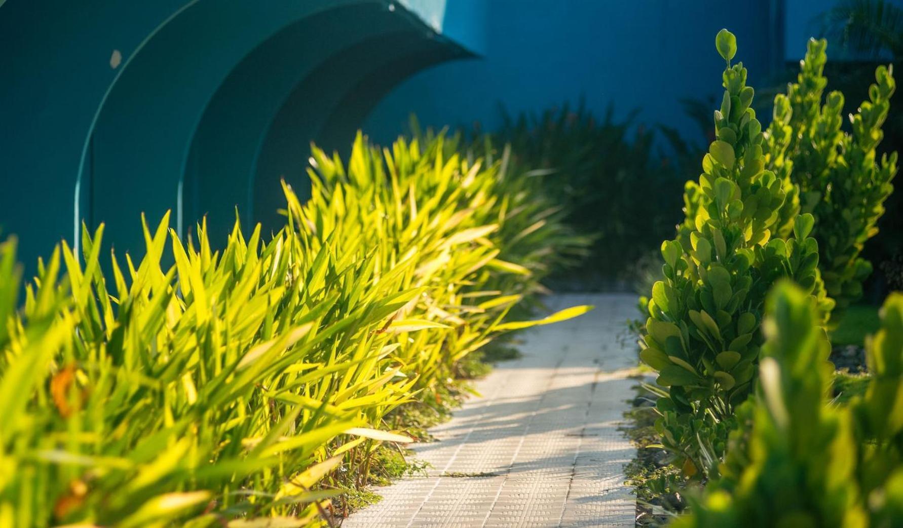 Beach Break Resort & Cr Surf Camp Jacó Εξωτερικό φωτογραφία